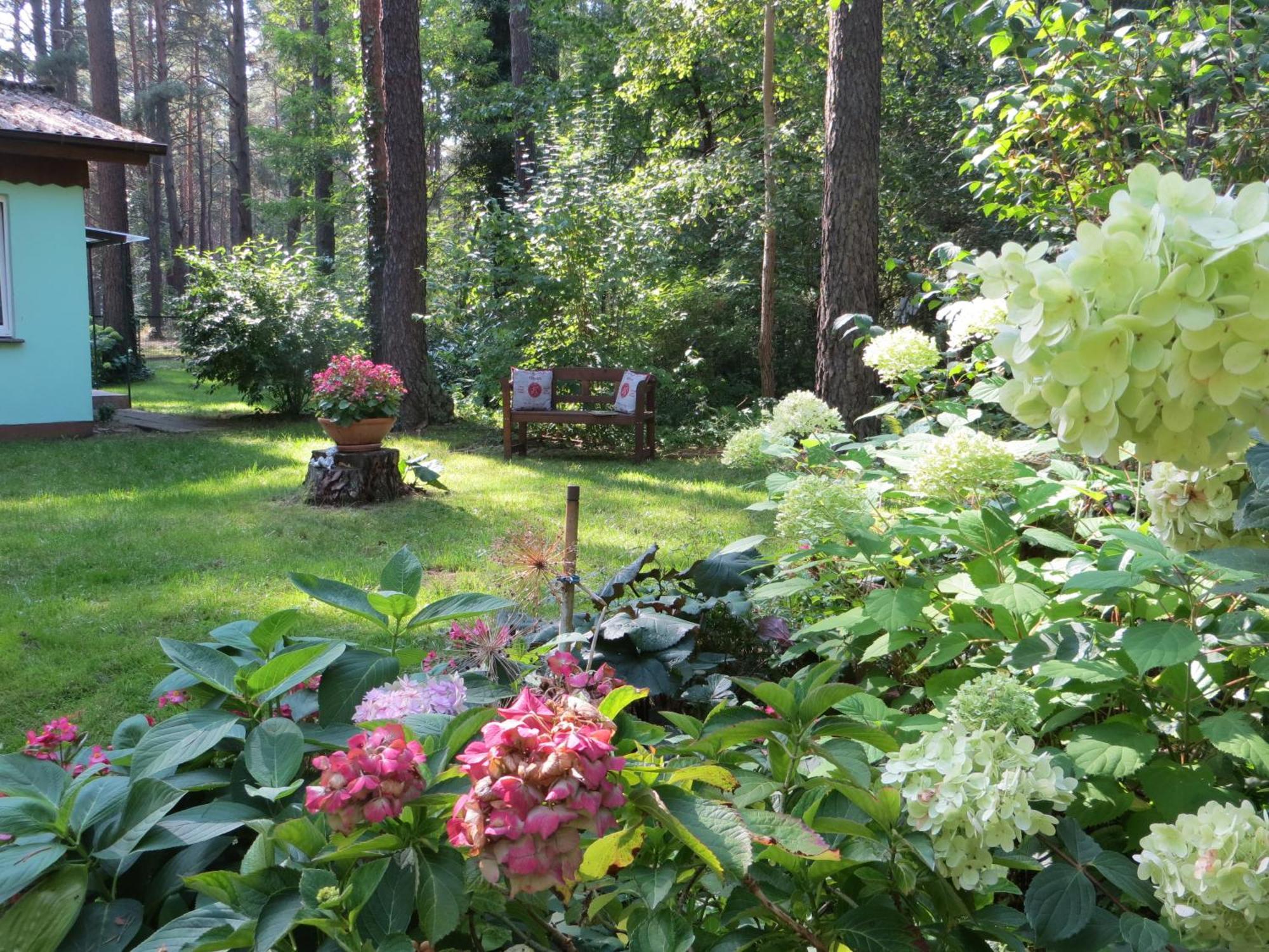 Kastavengrund - Ferienhäuser mit Kamin Lychen Exterior foto