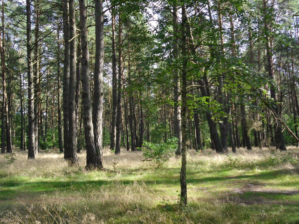 Kastavengrund - Ferienhäuser mit Kamin Lychen Exterior foto